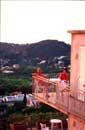 Hotel guest at sunset!!